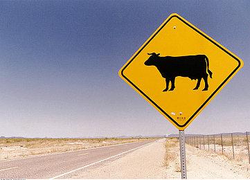 剧情驱动RPG《电气马戏团》面向全平台公布